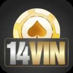 14vin Casino Pro v5.8.2