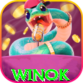 winok Premium 2026